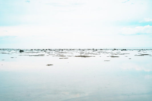 Oceania