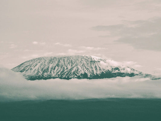 Tanzania (United Republic of)